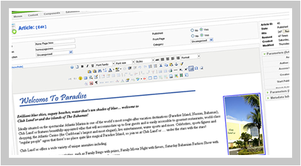 Content Management Systems